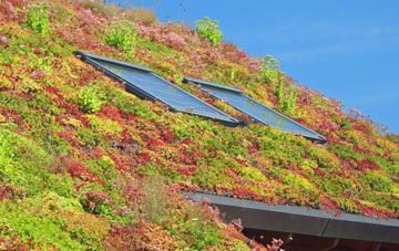 Rylands living roof systems